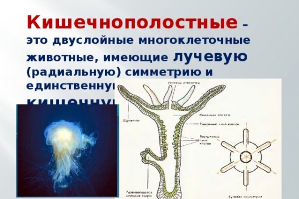 Кракен сайт вход